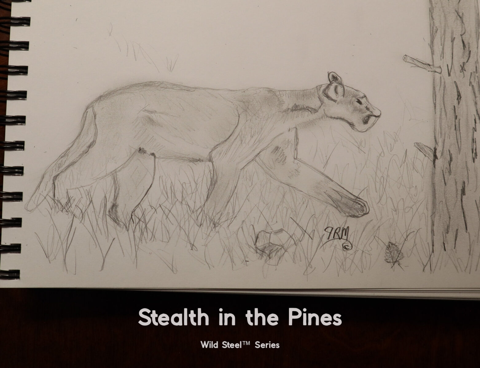 Cougar wildlife sketch inspiration for metal art sign