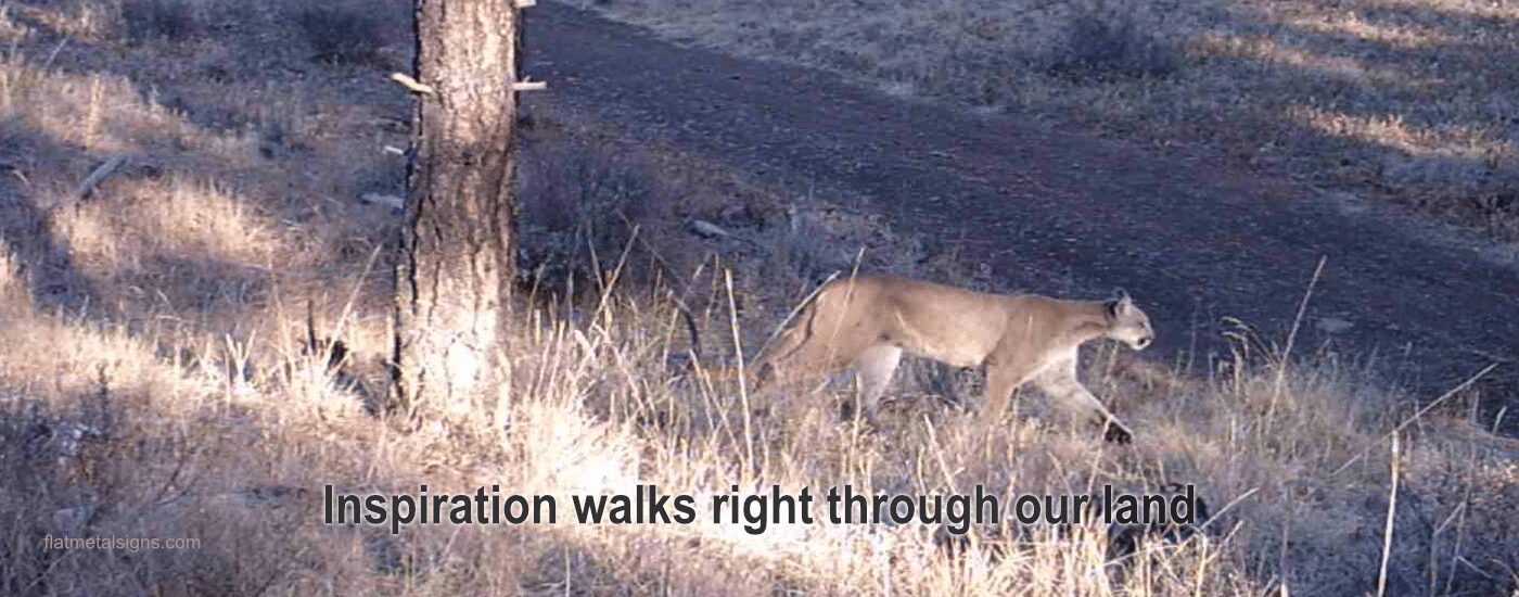 Wild Steel™ Cougar-Story