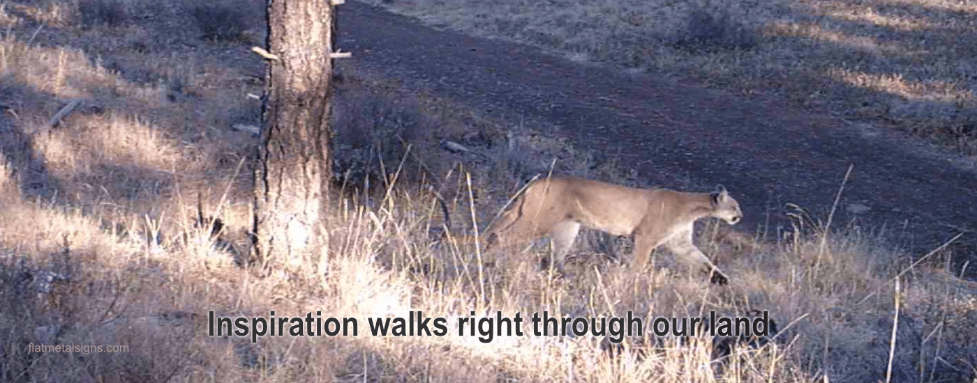 Wild Steel™ Cougar-Story