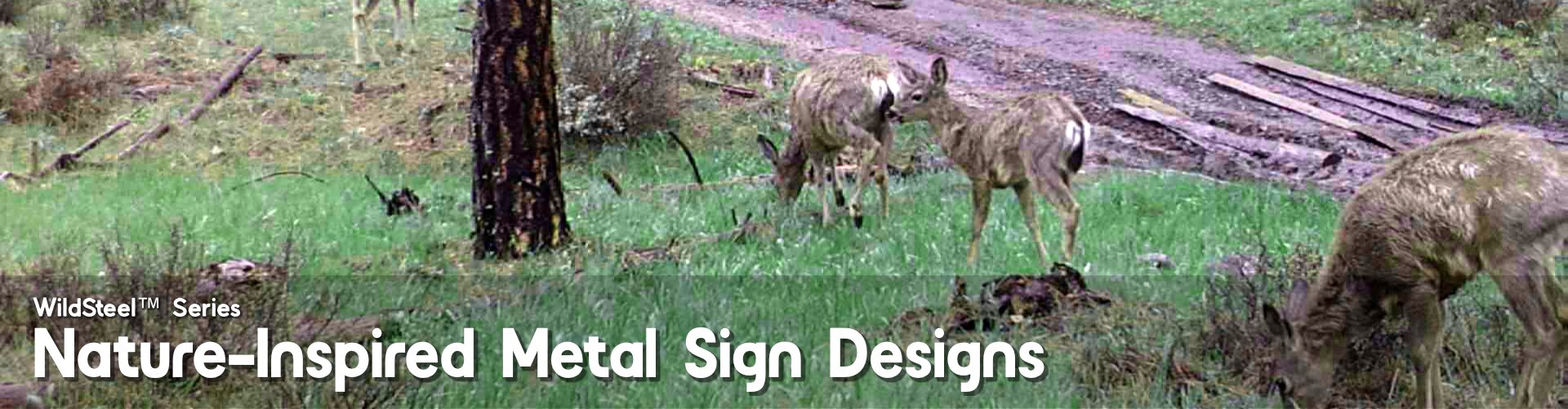 Metallic Environmental Sign Wild Steel™ Series – Nature-Inspired Metal Signs Flat Metal Signs