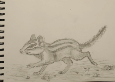 Dashing Chipmunk Sketch