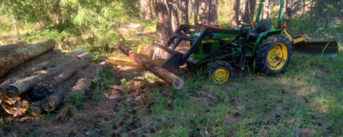 Developing Woodsy Acres one log at a time.