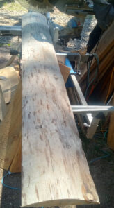 Sanded sawmill trimming showing the smooth wood grain while retaining the rounded outside of the log.