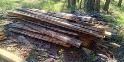 Pile of sawmill trimmings and offcuts saved for future woodworking and cabin projects at Woodsy Acres.